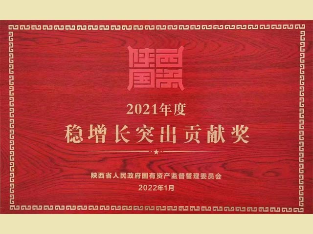2021年度稳增长凸起贡献奖